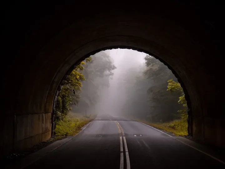 A tunnel in a foggy forest